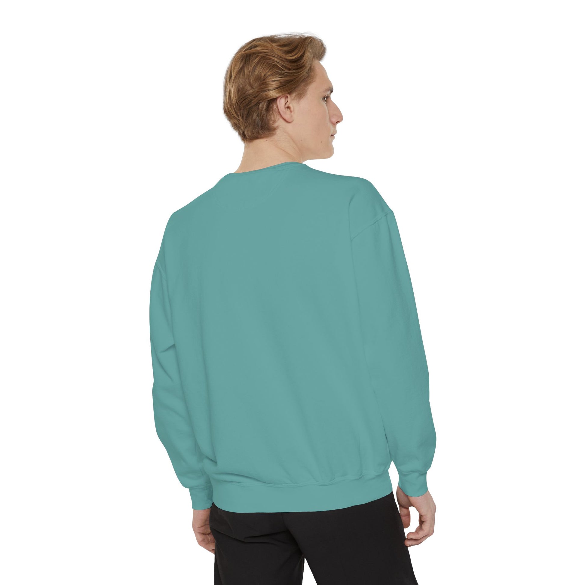 Ailurophile Comfort Colors Sweatshirt - Cozy Cat Sweatshirt, Cat Lover Gift, Unisex. - Stellar Threadz Studio