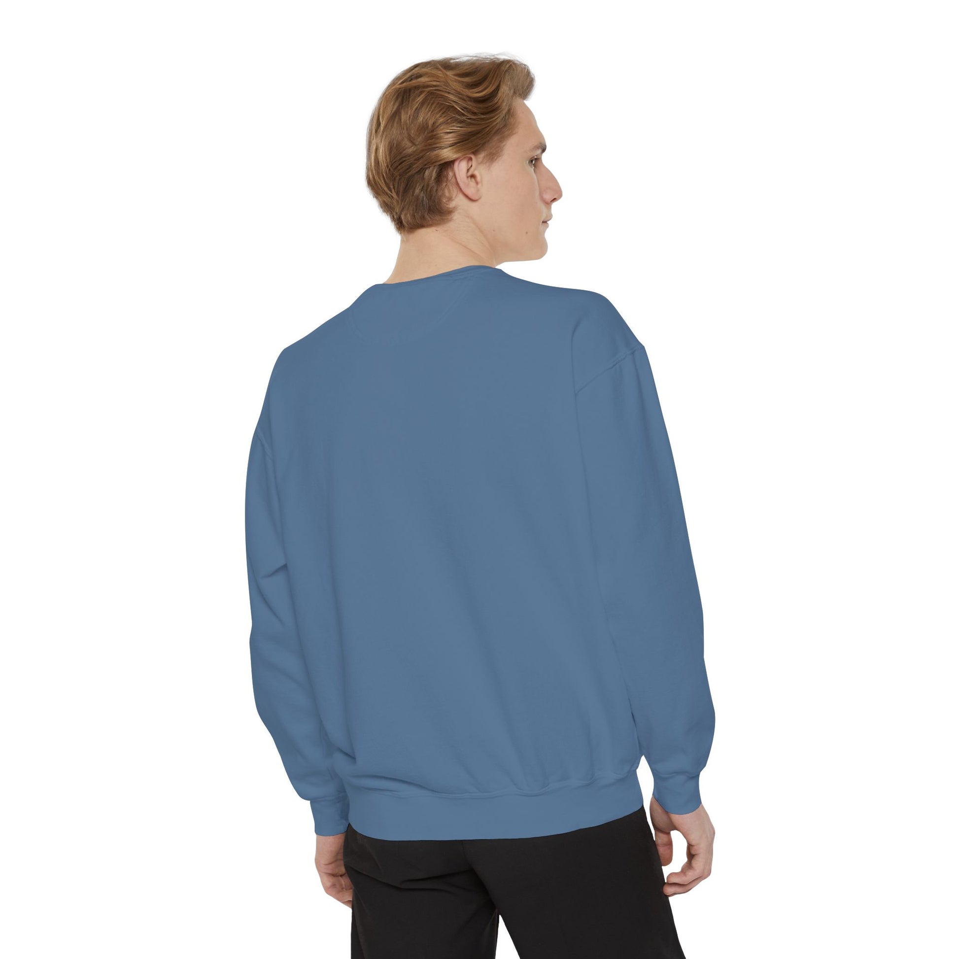 Ailurophile Comfort Colors Sweatshirt - Cozy Cat Sweatshirt, Cat Lover Gift, Unisex. - Stellar Threadz Studio
