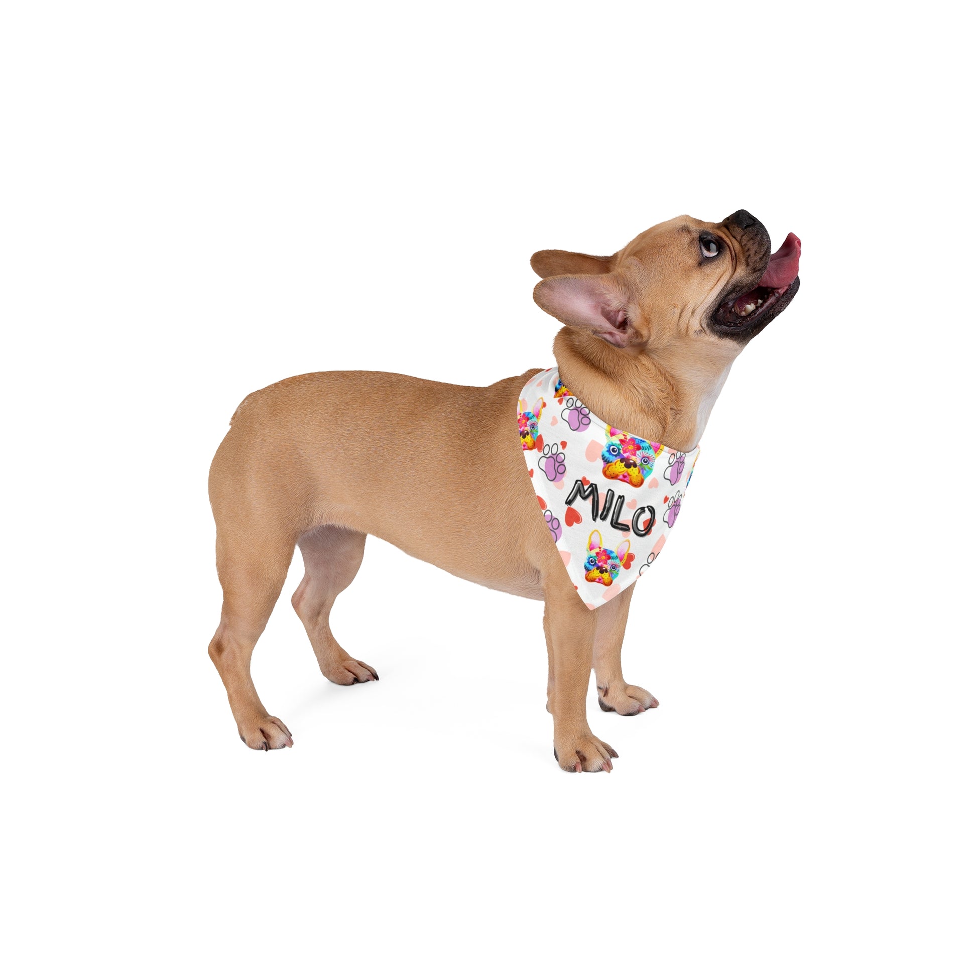 Custom Pet Bandana - Colorful Heart Pattern Dog Scarf with Personalization - Stellar Threadz Studio