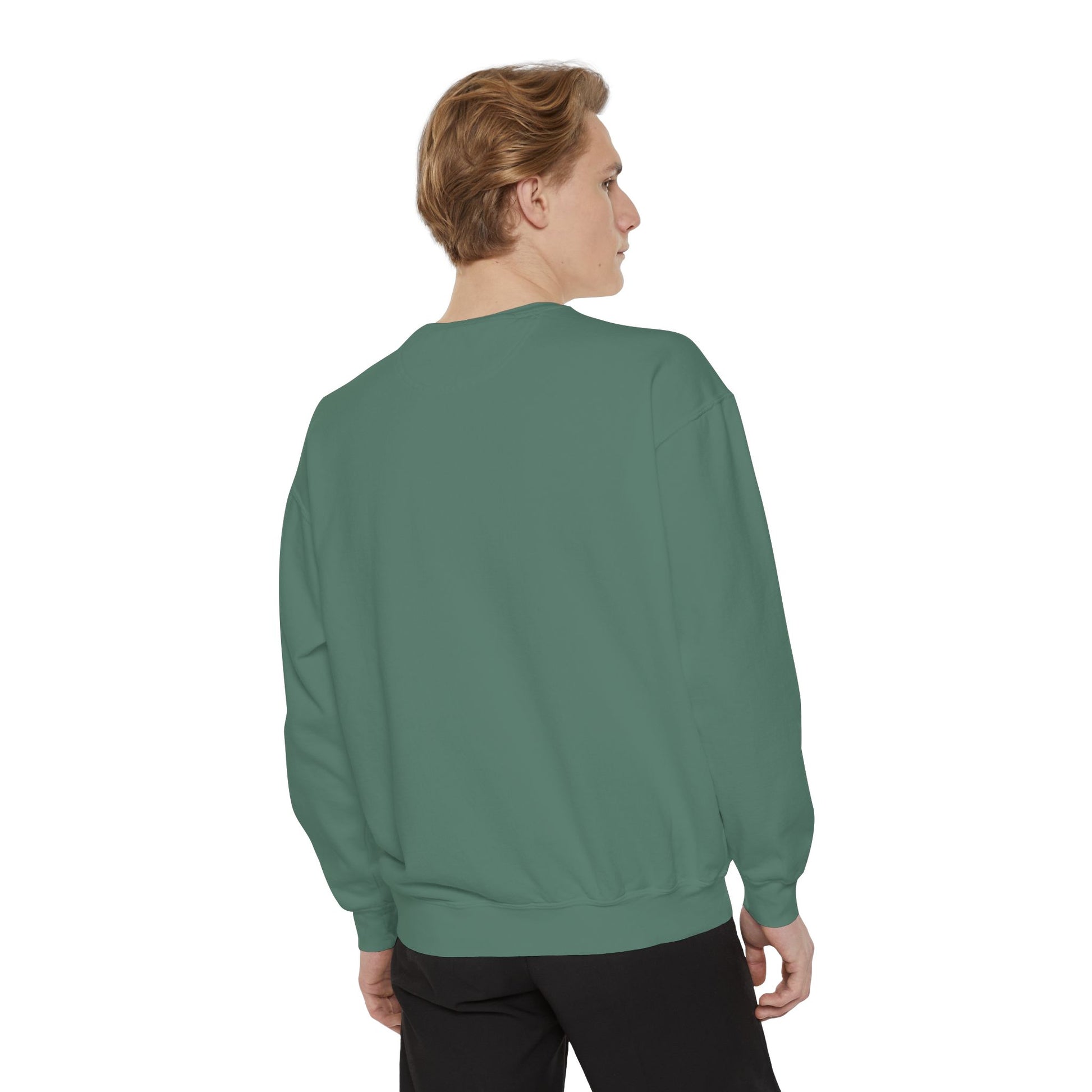 Ailurophile Comfort Colors Sweatshirt - Cozy Cat Sweatshirt, Cat Lover Gift, Unisex. - Stellar Threadz Studio
