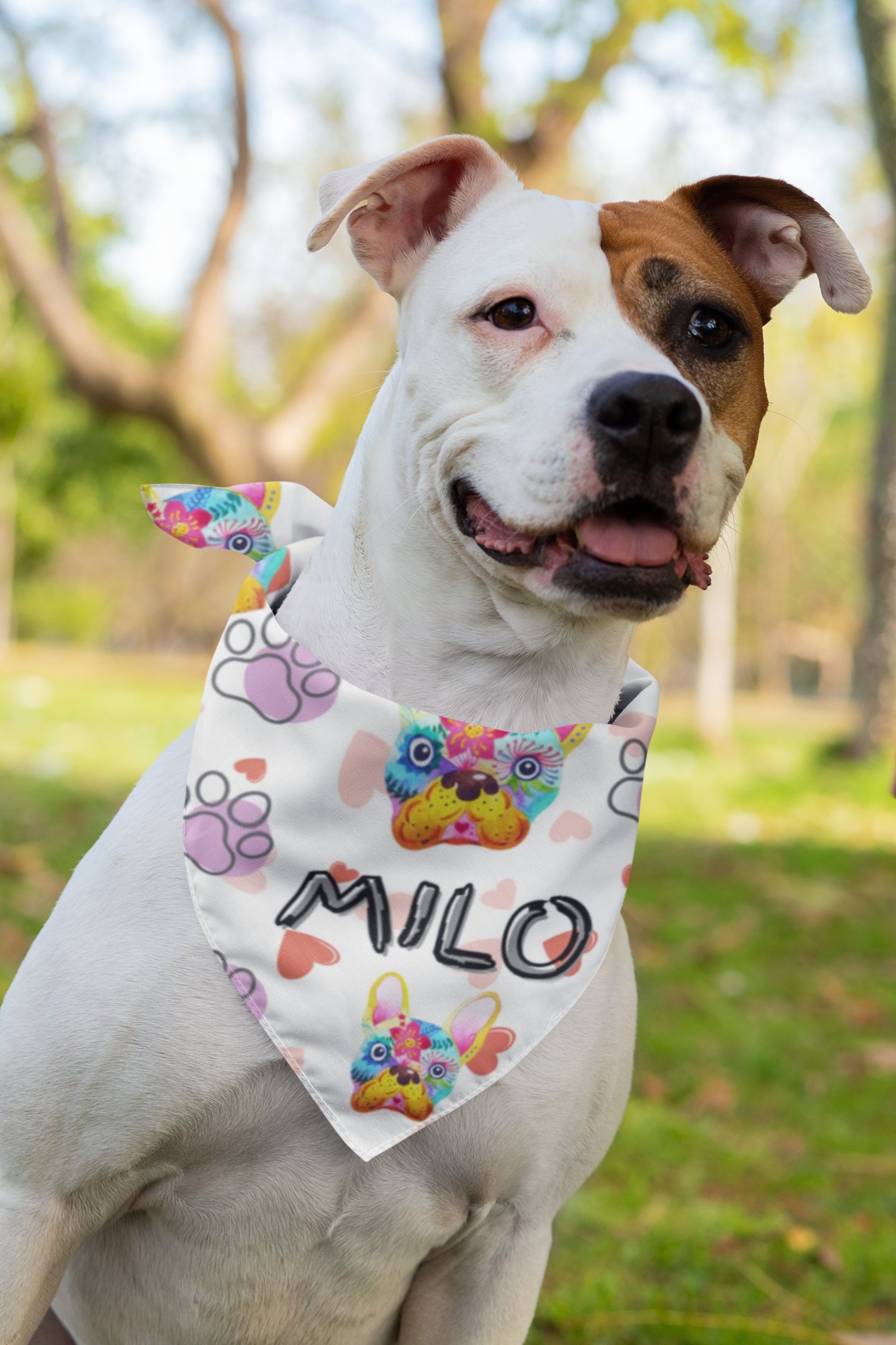 Custom Pet Bandana - Colorful Heart Pattern Dog Scarf with Personalization - Stellar Threadz Studio