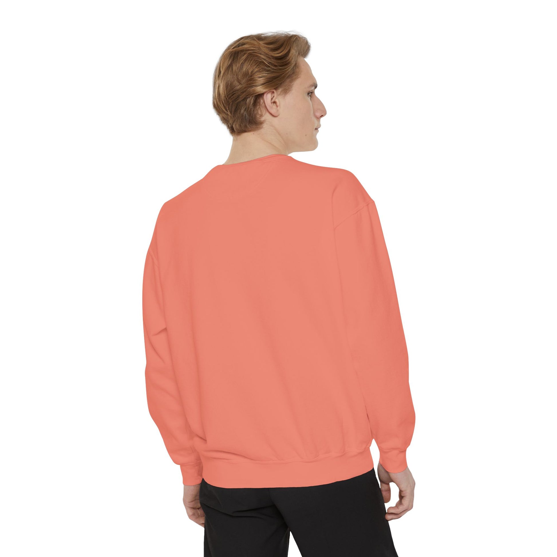 Ailurophile Comfort Colors Sweatshirt - Cozy Cat Sweatshirt, Cat Lover Gift, Unisex. - Stellar Threadz Studio