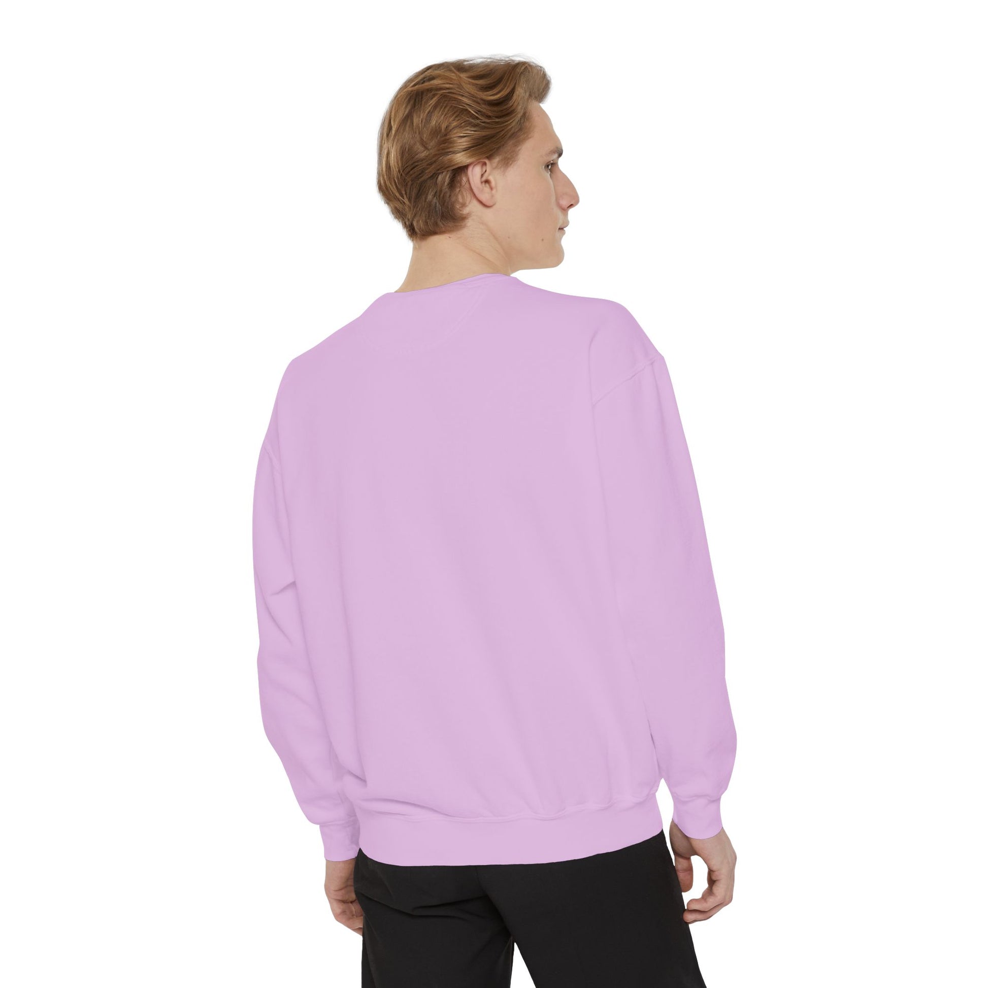 Ailurophile Comfort Colors Sweatshirt - Cozy Cat Sweatshirt, Cat Lover Gift, Unisex. - Stellar Threadz Studio